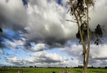 法官直播卖螃蟹：司法创新与网络营销的跨界融合